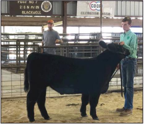 TANNER OTTO is pictured showing this Maine-Anjou at the Kay County Free Fair in Blackwell. The annual fair runs through this weekend. This photo was submitted by Bonnie Otto. Do you have fair pictures you’d like to share? Email them to news@poncacitynews.com.