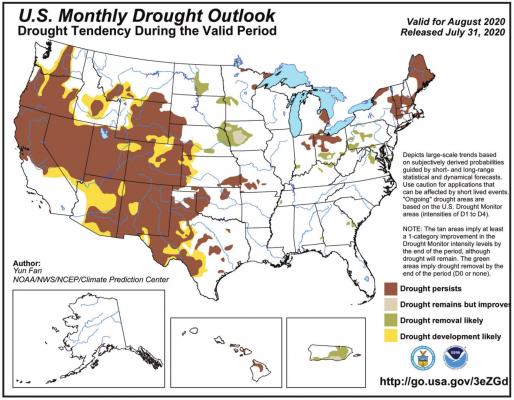WET CONDITIONS in July succeeded in beating the drought back to a more manageable level.