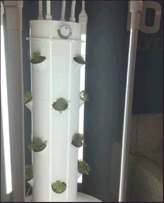 THIS PICTURE was taken right after set-up with eight-day-old sprouts. The weird tubes coming out of the top are the LED grow lights. (Photo by Kat Long)