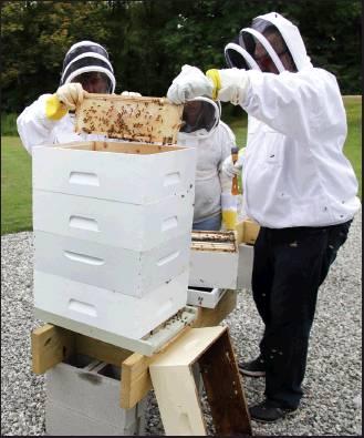 IN THIS PHOTO, instructor Karen Eaton, left, supervises beekeeping activities performed by veterans at the Veterans Affairs’ beehives in Manchester, N.H. New Hampshire’s only veterans medical center is hoping its beekeeping program will help veterans deal with their trauma. A small but growing number of veterans around the country are turning to beekeeping as a potential treatment for anxiety, PTSD and other conditions. (AP Photo)