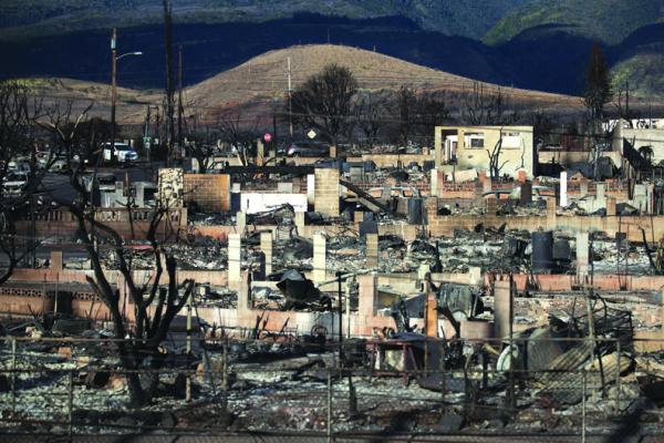 BURNT TREES and the ruins of houses are what is left after the Lahaina fire burnt through the city, in Lahaina, Hawaii, Sunday, Aug. 13, 2023. (Etienne Laurent/EFE/Zuma Press/TNS)
