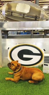 THIS FOOTBALL-themed dog house was built by employees at Custom Mechanical Equipment . It is pictured with their mascot named Brutus, who was adopted by the Humane Society 10 months ago. Their team name is &#x201C;We&#x2019;re the Cool Kids.&#x201D;