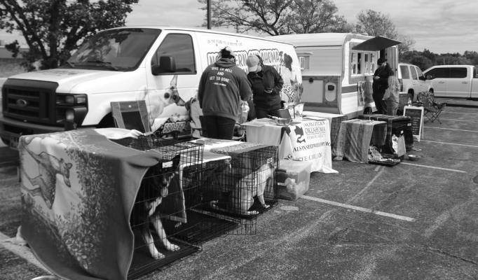 Petsense held their Fall Adopt-a-thon this past weekend.