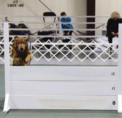 Teams from several states came to the Unity Gym in Ponca City to show off their talent and dedication in the American Kennel Club’s Obedience and Rally Trials. (Photo by Dailyn Emery)