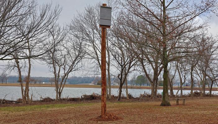 THE CITY of Ponca City’s Parks and Recreation has placed their first bat house at Lake Ponca. In efforts to find a more environmentally friendly way to control mosquitos, they have strayed from using chemicals to now introducing bats to the area. According to them, the bats will naturally eat the mosquitos and help to keep the population down at the lake. (Photo by Dailyn Emery)