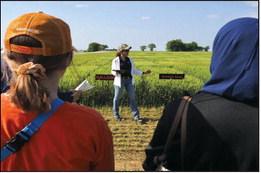 Wheat Field Day at Schieber Farms Tuesday, May 23rd