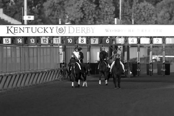 FOREVER YOUNG and T O Password walk on the track during morning workouts ahead of the 150th running of the Kentucky Derby at Churchill Downs on May 2, 2024, in Louisville, Kentucky. (Rob Carr/ Getty Images/TNS)