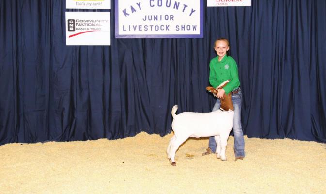 Grand Champion Wether Goat, Kinley Brown.
