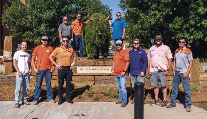 New year-round bison topiary joins OSU-Stillwater