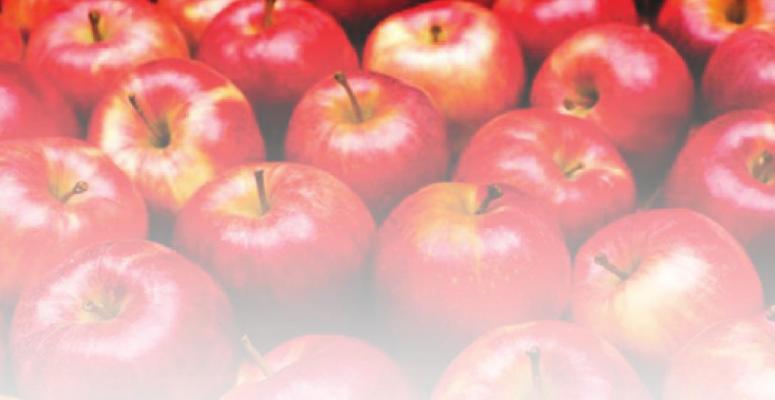 On Nutrition: An apple a day?
