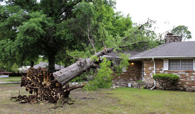 High winds early in the 5 am hour on Thursday, May 2 resulted in power outages for several areas in Ponca City, as well as tree limbs scattered about in the streets. In a more extreme case, an entire tree was uprooted and fell onto a home at 2501 Robin Road. (Photo by Calley Lamar)