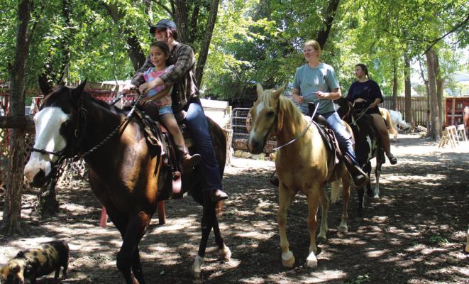 New Life Trails provides horses for rides at Camp McFadden