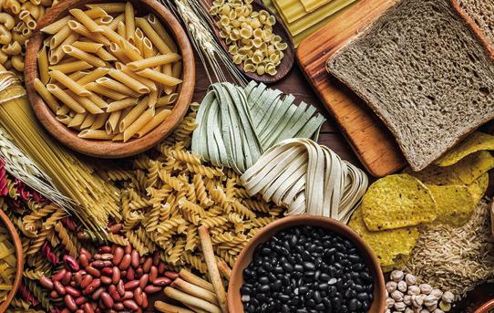 The Case for Carbohydrates