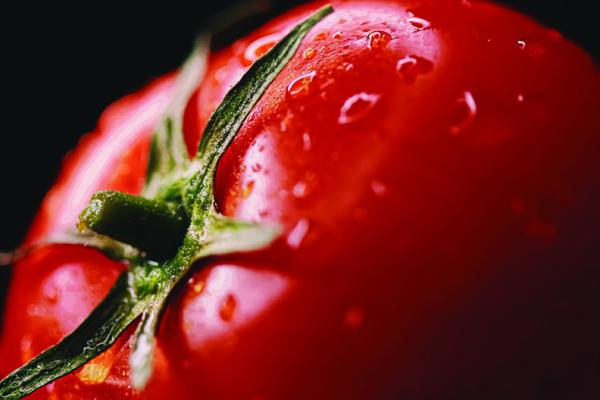 Growing tomatoes isn’t easy, but worth it