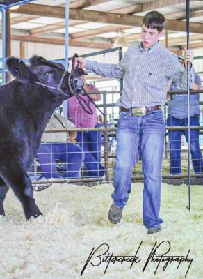 Grand Champion in Market Steer and Supreme in Breeding Heifer: Reid Buellesfeld. (Photo by Bittercreek Photography)