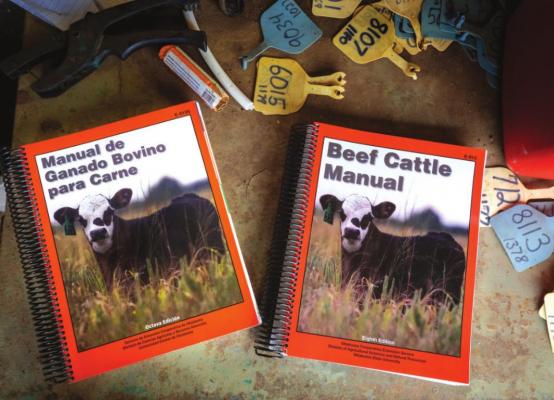 The “Manual de Ganado Bovino para Carne” is the new Spanishlanguage version of the most recent edition of the popular “OSU Extension Beef Cattle Manual.” (Photo by Todd Johnson, OSU Agricultural Communications Services) More news content is available through OSU Extension.