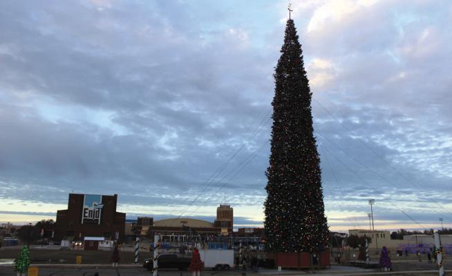 The 140-foot tall fir tree dubbed the “Christ Tree” 