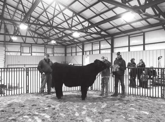 Grand Champion Steer, Rowdy Scott with show judge Justin Stacy.