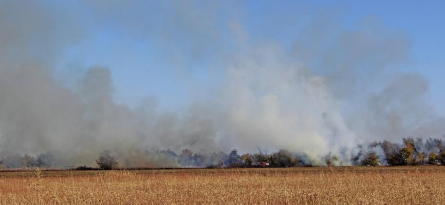 A controlled burn escalated in a field near 7650 W. North Ave. on Thursday Nov. 5. (Photo by Calley Lamar)