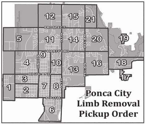 City of Ponca City begins resident ice storm tree debris collection