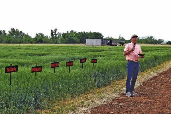 Brett Carver, Oklahoma State University wheat genetics chair, talks to producers about the potential of the OSU wheat variety OK18510 at the Chickasha Wheat Field Day in 2022. The variety has been approved for commercial release under the name High Cotton. (Photo by Alisa Boswell-Gore, OSU Agriculture)
