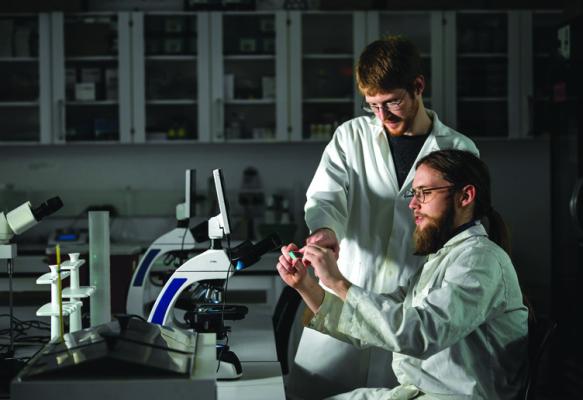 JASON WALLACH, assistant professor of pharmaceutical sciences at Saint Joseph’s University, left, and Garrett Walker, pharmacology and toxicology major, right, exame slides in the lab. (Melissa Kelly/Saint Joseph’s University/TNS)