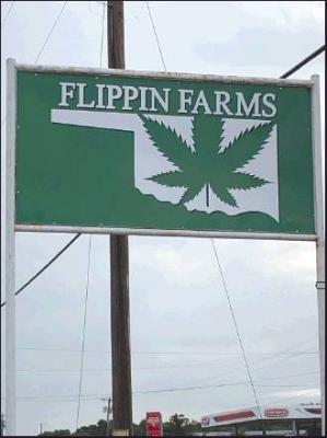A DONATION to Ponca City Public Schools by Flippin Farms, a local marijuana dispensary, was rejected. (News Photo by Mike Seals)