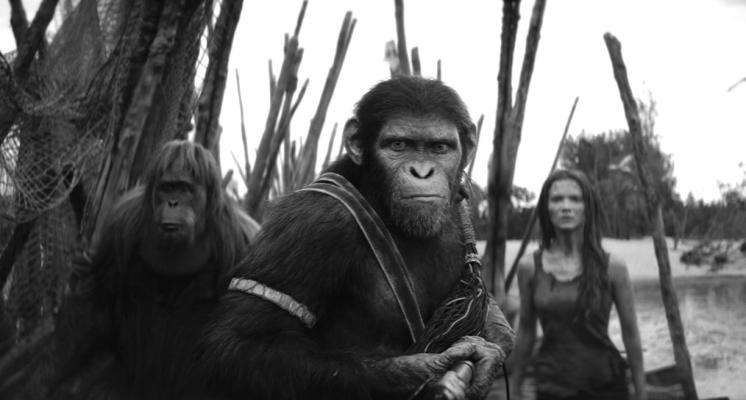 Movie review: ‘Kingdom of the Planet of the Apes’ an exciting new world for franchise
