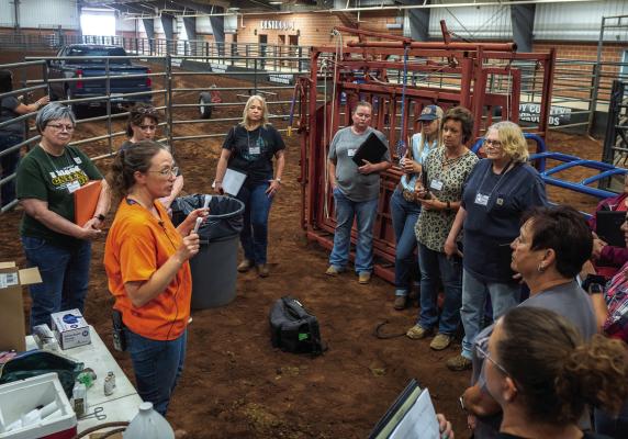 Rosslyn Biggs, OSU Extension beef cattle specialist and clinical assistant professor of clinical veterinary sciences, prepares a group of workshop participants for some handson training in cattle vaccinations. (Photo by Todd Johnson, OSU Agricultural Communications Services)