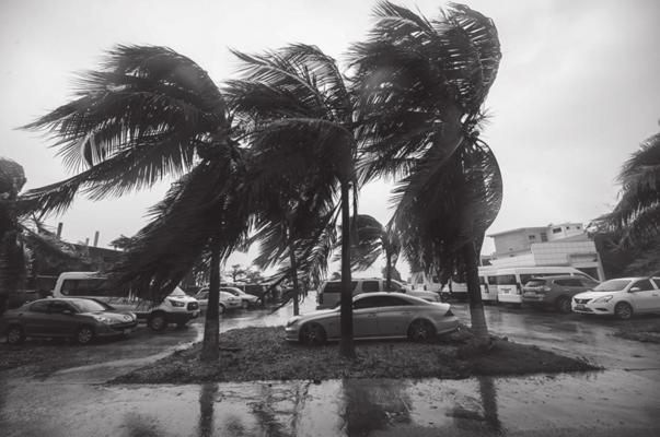 Winds lash palm trees after the passage of Hurricane Delta, in Cancun, Quintana Roo state, Mexico, on October 7, 2020. Hurricane Delta slammed into Mexico’s Caribbean coast early Wednesday, toppling trees, ripping down power lines and lashing a string of major beach resorts with winds of up to 110 miles (175 kilometers) per hour. (PEDRO PARDO/AFP via Getty Images)