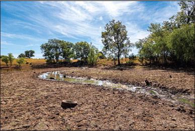 Producers may qualify for state and federal drought relief funding in several different areas of production agriculture, including water availability, livestock loss, fire and disease. (Photo by Todd Johnson, OSU Agricultural Communications Services)